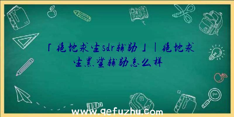 「绝地求生sdr辅助」|绝地求生黑鲨辅助怎么样